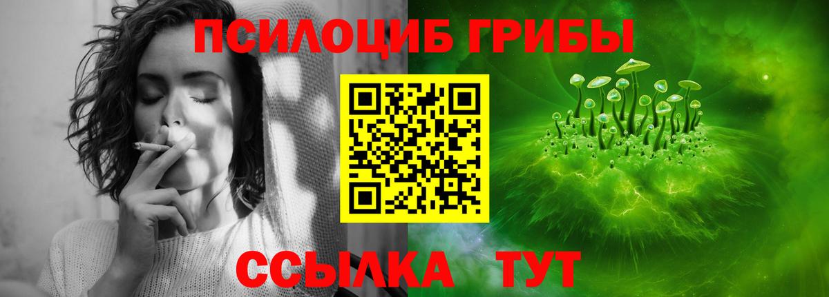 Псилоцибиновые грибы Cubensis Кохма