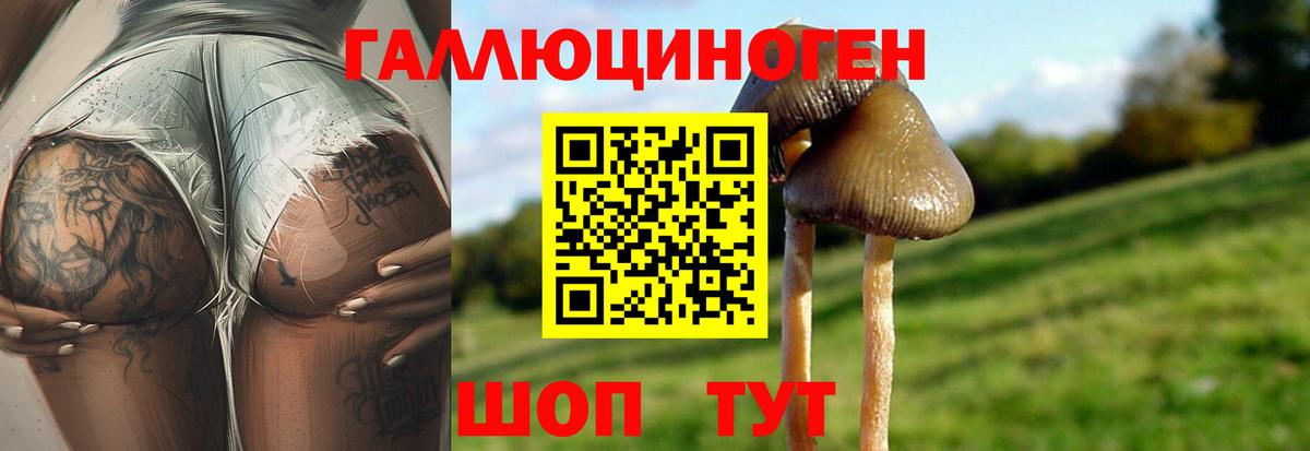 Псилоцибиновые грибы Cubensis  Вход с VPN  Кохма 